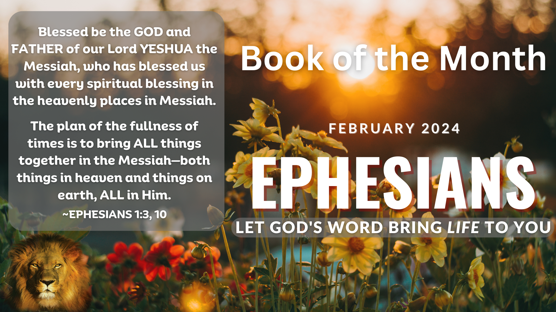 Book of Month - Ephesians