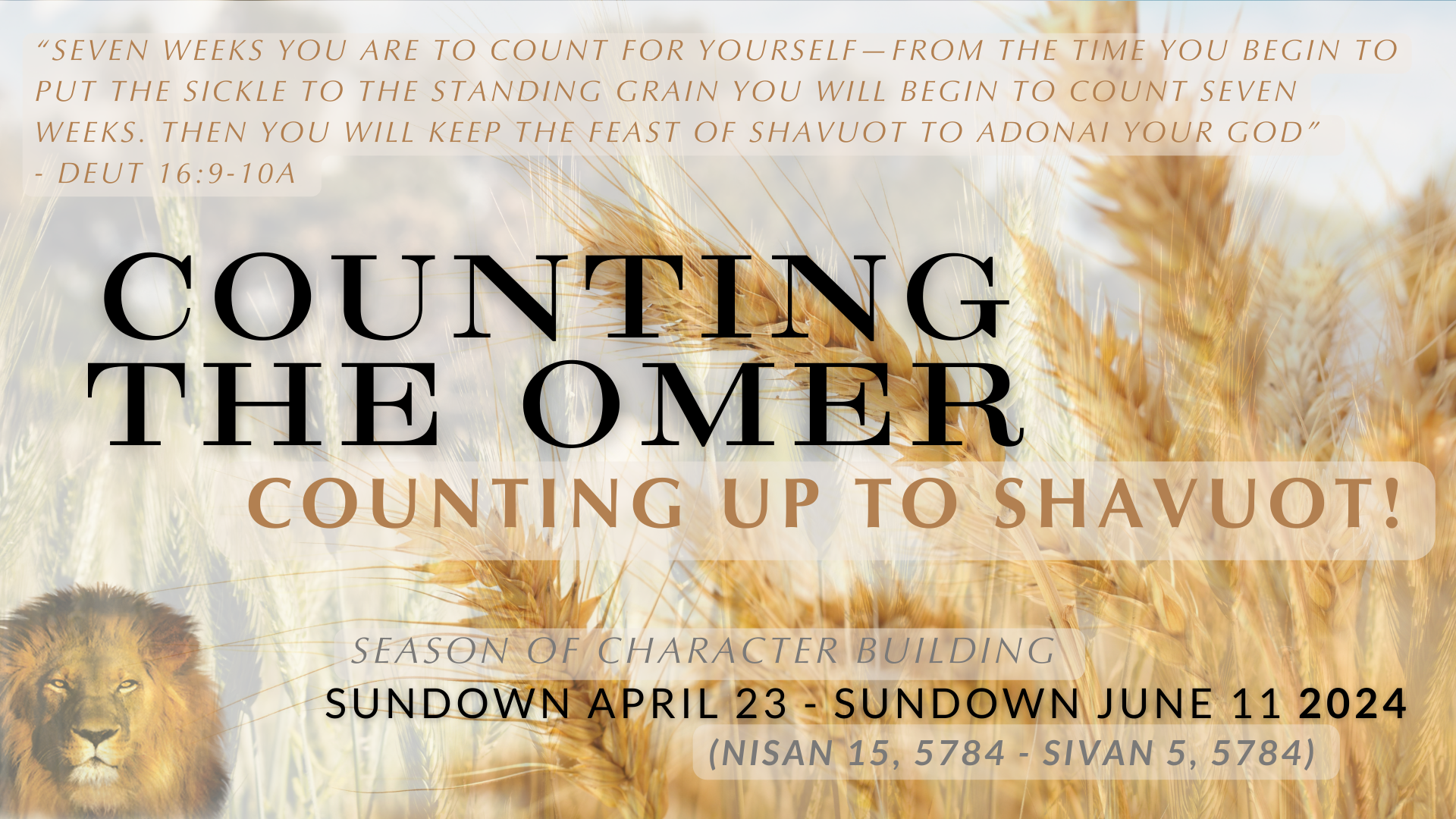 Counting the Omer 2024