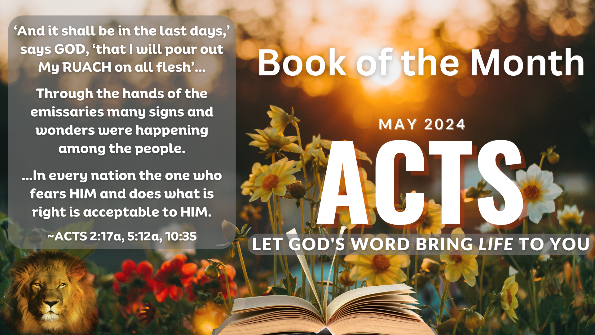 SHOFAR Book of the Month - Acts