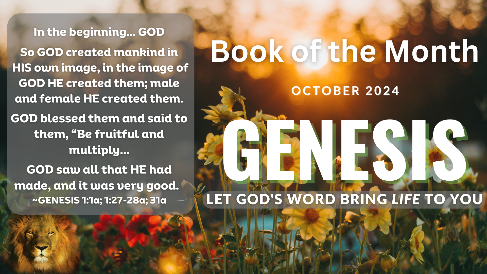 SHOFAR Book of the Month - Genesis