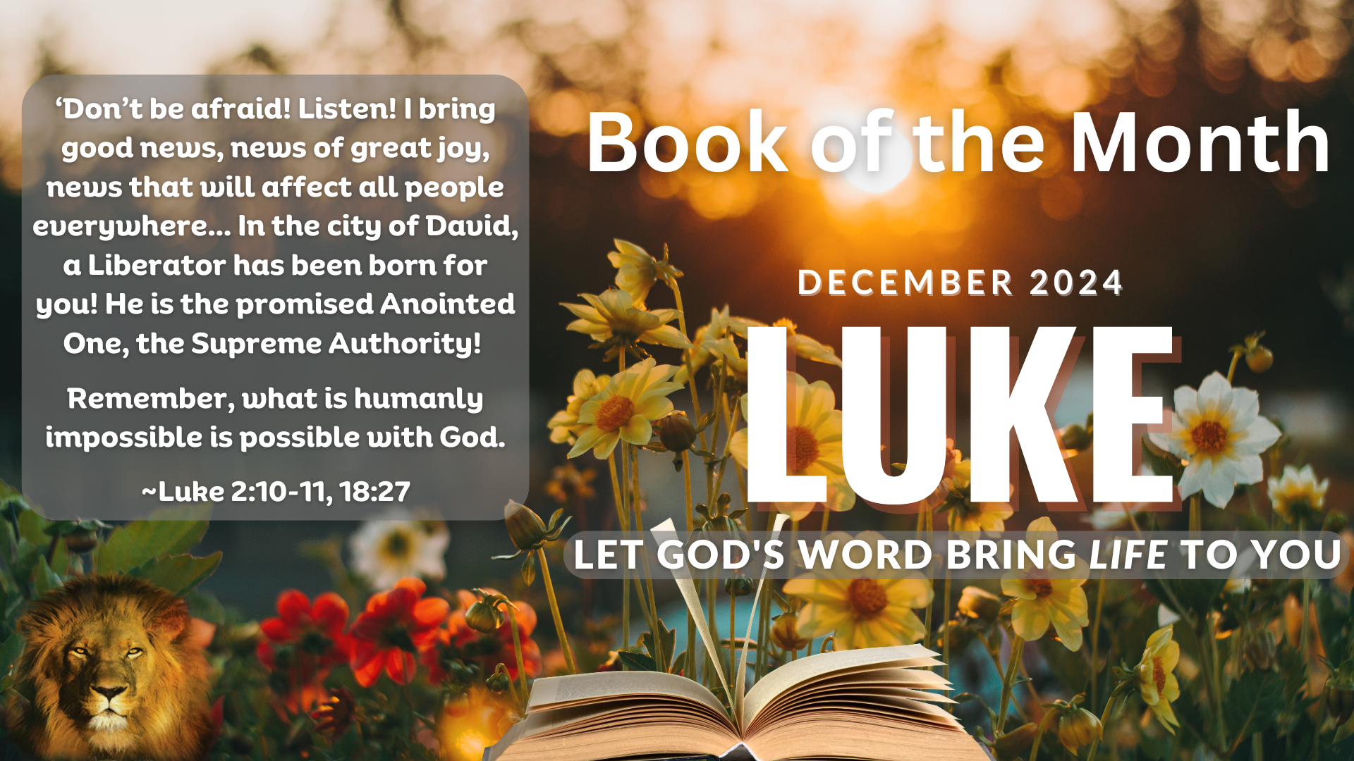 SHOFAR Book of the Month - LUKE