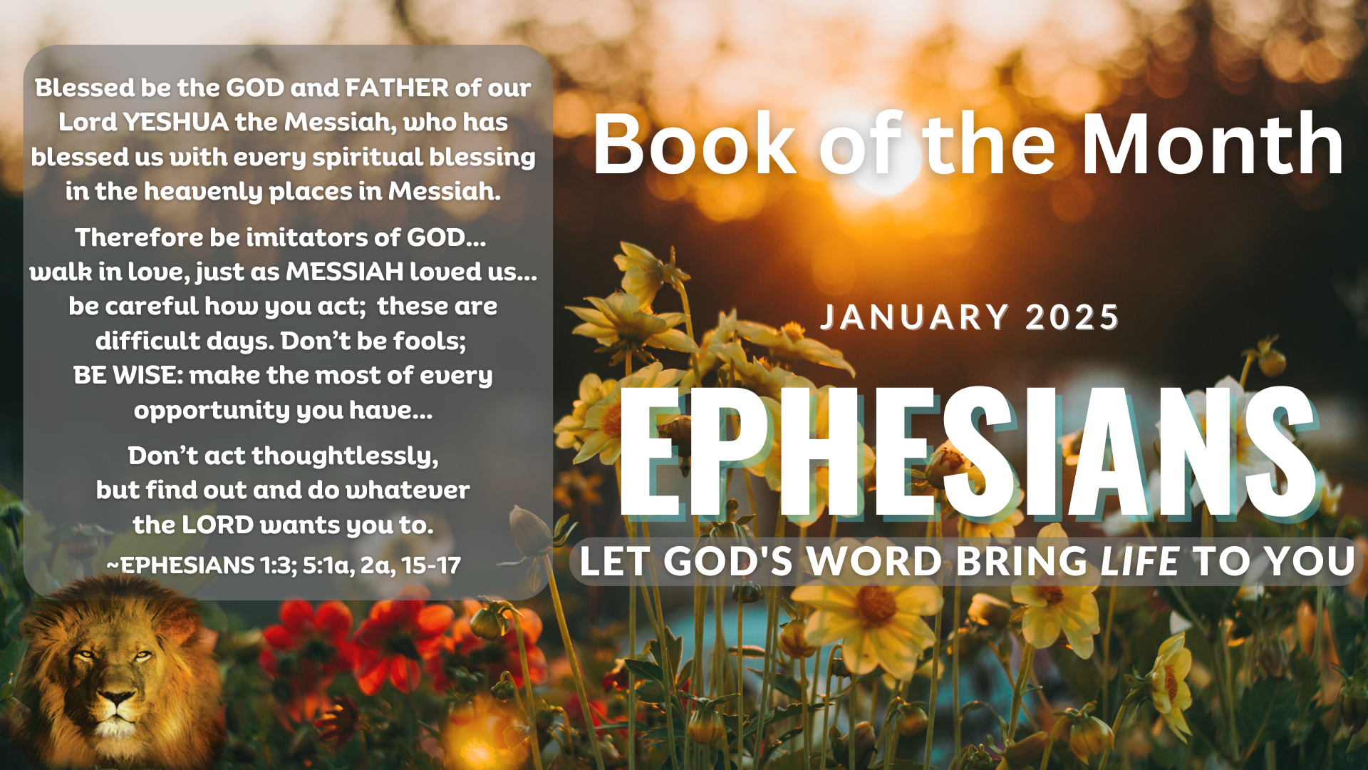 SHOFAR Book of the Month-EPHESIANS_2025