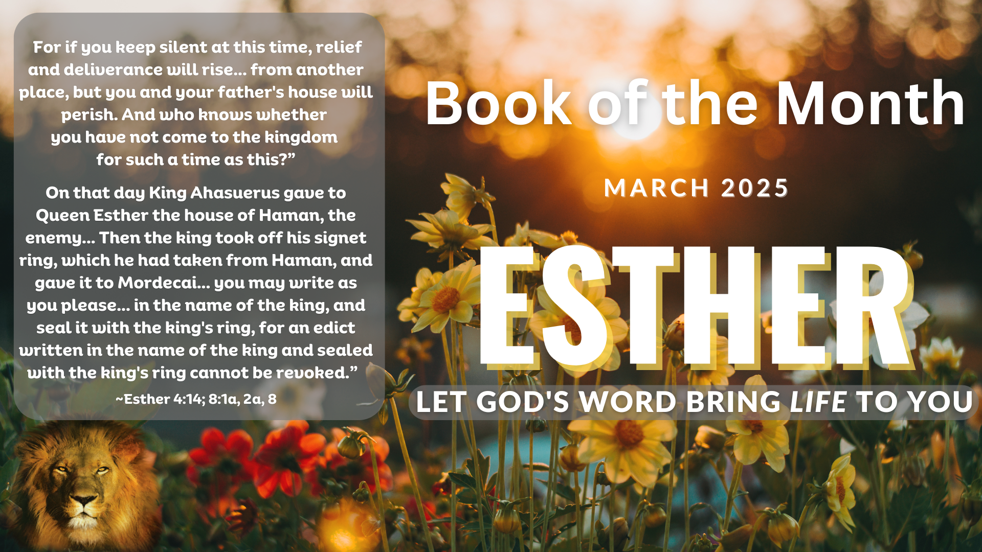 SHOFAR Book of the Month - ESTHER