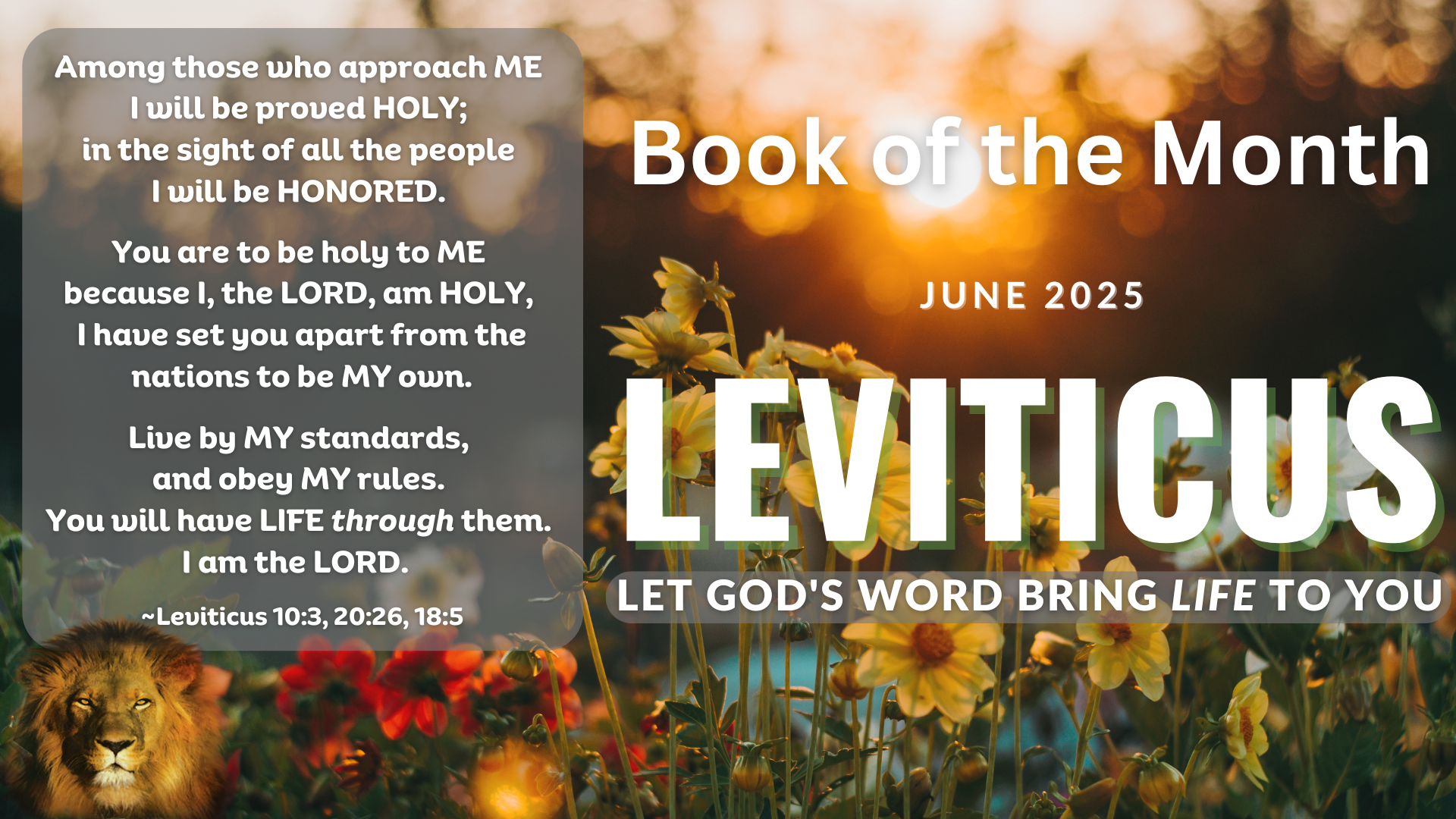 SHOFAR Book of the Month - LEVITICUS