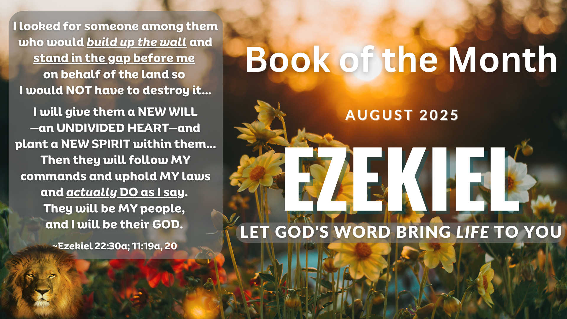 Book of the Month - Ezekiel